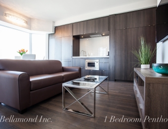 Bellamond Yorkville 1 Bedroom Penthouse Apartment - Living and Dining Room