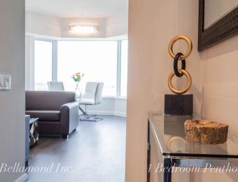 Bellamond Yorkville 1 Bedroom Penthouse Apartment - The Foyer
