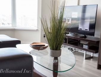 Big Screen Plasma LCD TV in the Living room of the 2 Bedroom Apartment at Bellamond Yorkville